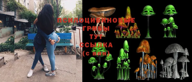 сайты даркнета официальный сайт  omg tor  Туринск  Псилоцибиновые грибы Psilocybine cubensis 